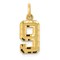 14K Gold Small Number 9 Charm Pendant FindingKing Jewerly 20mm x 7mm